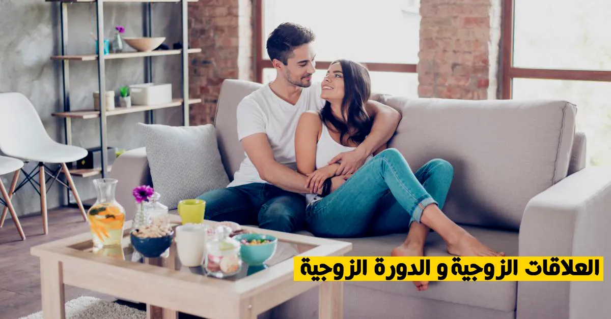 العلاقات الزوجية والدورة الزوجية